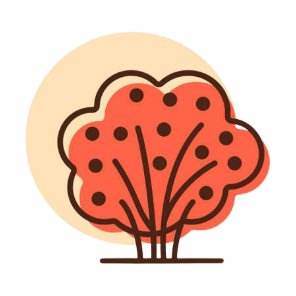 La Vie Verte Magasin